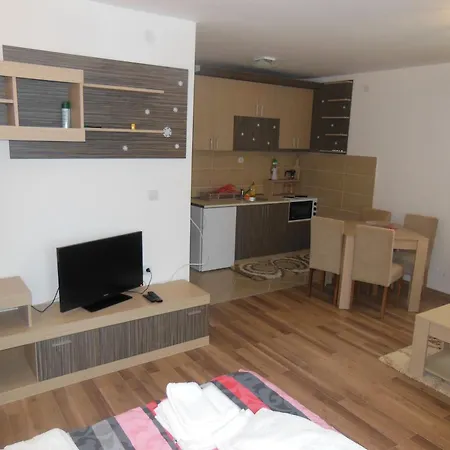 Appartement Panovic *