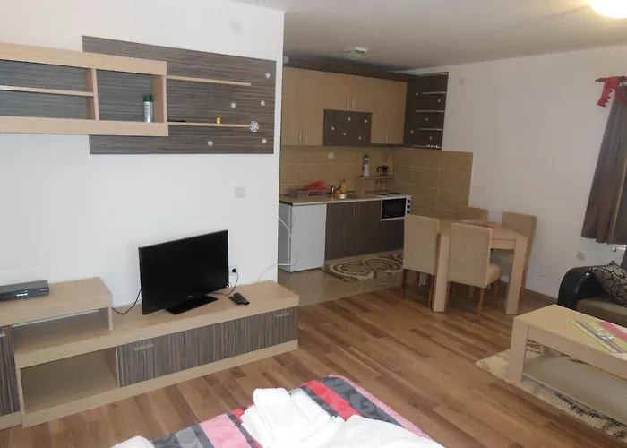 Διαμέρισμα Panovic *