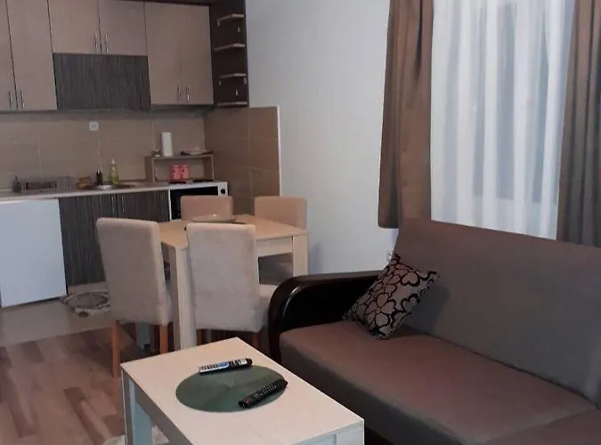 Panovic Κοπαόνικ