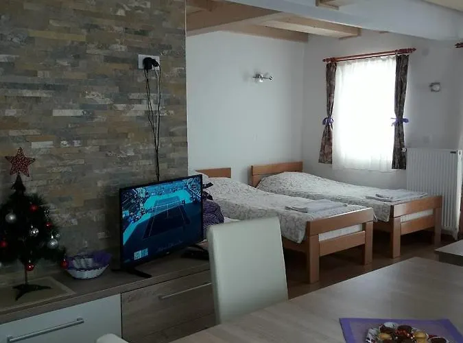 Panovic * Κοπαόνικ