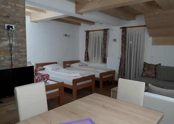 Panovic Κοπαόνικ