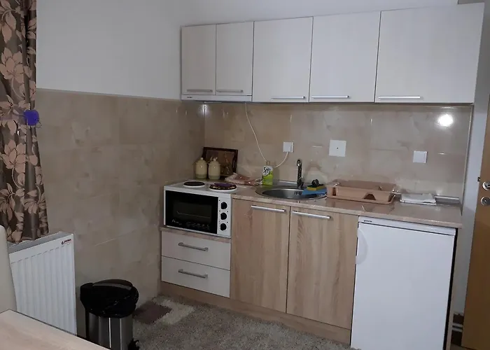 Panovic Κοπαόνικ